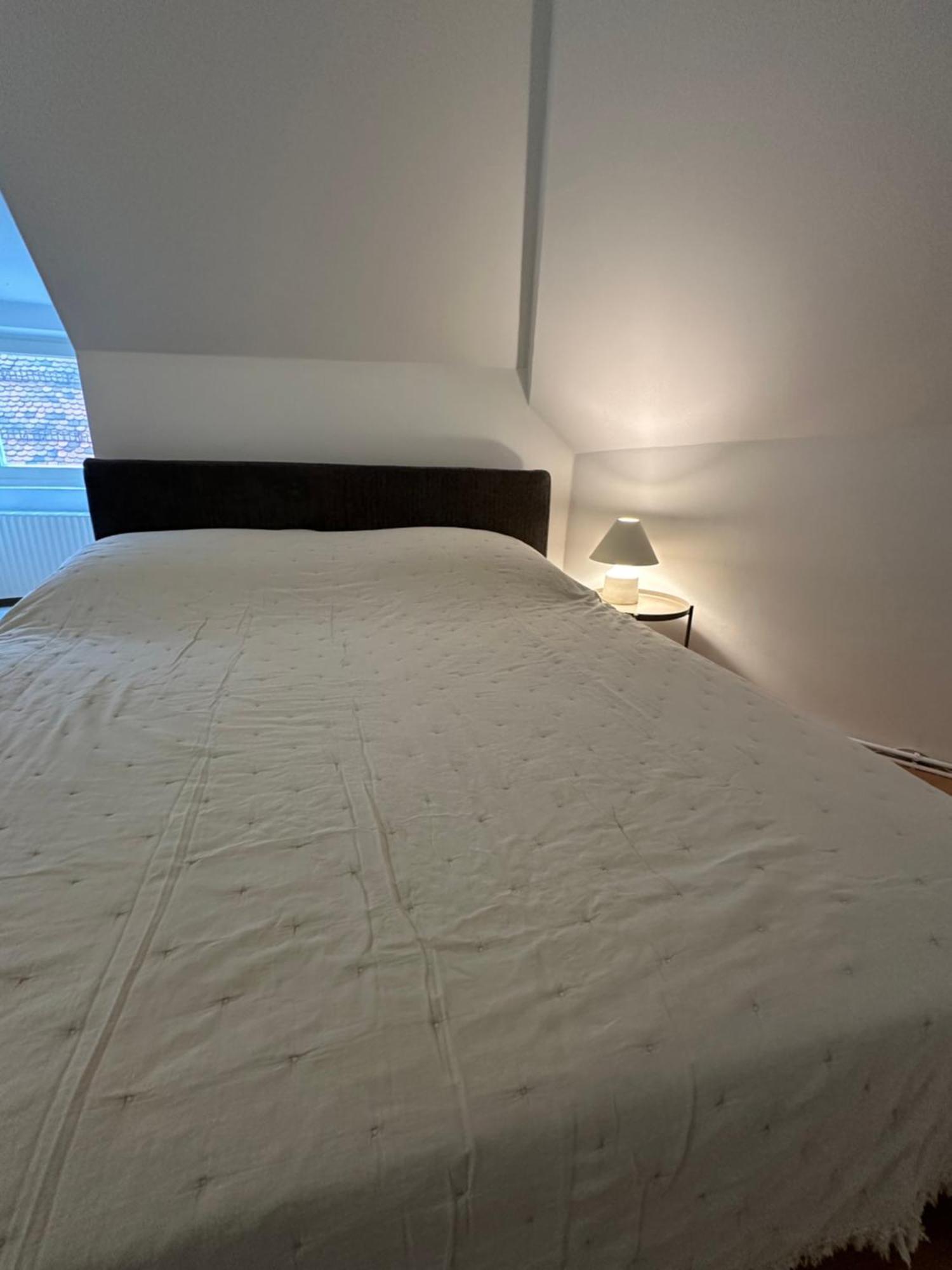 Graz 1464, Old City Center Apartments Екстериор снимка